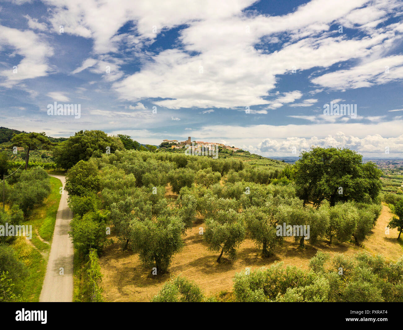 Italie, Toscane, Monsummano Terme Banque D'Images