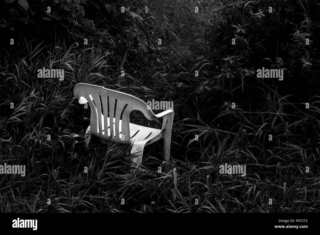 Chaise blanche abandonnées avant piste forestière commence au milieu de l'herbe et les plantes. Banque D'Images