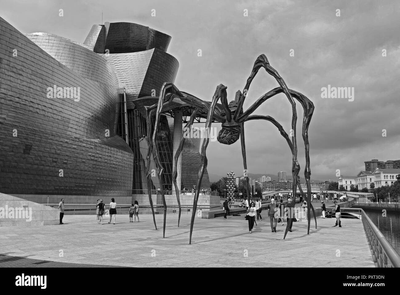 Vue sur le musée Guggenheim en noir et blanc, Bilbao, Pays Basque, Espagne. Banque D'Images