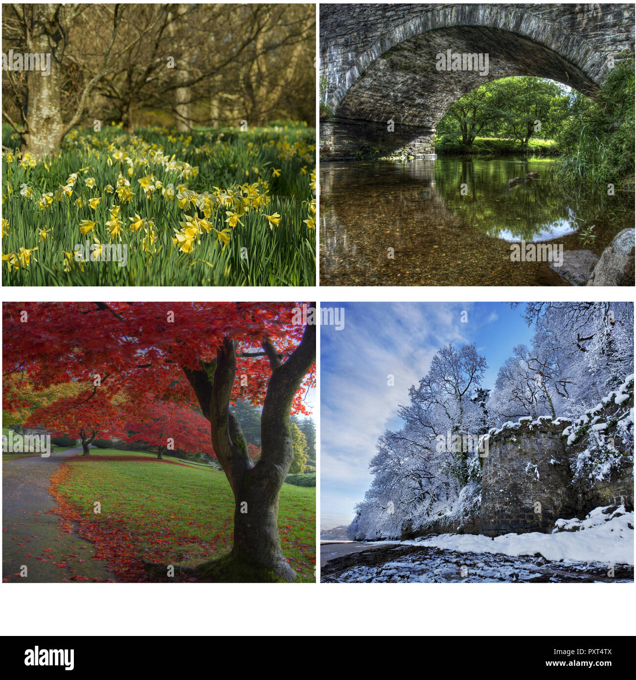 Saisons, automne, saison, automne Banque D'Images