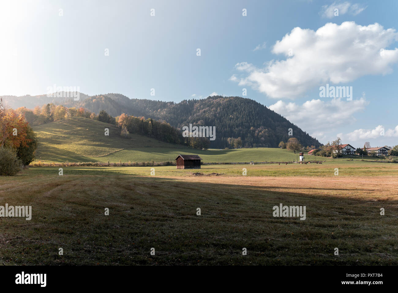 Paysage idyllique dans les Alpes de prés à l'automne au coucher du soleil. Banque D'Images