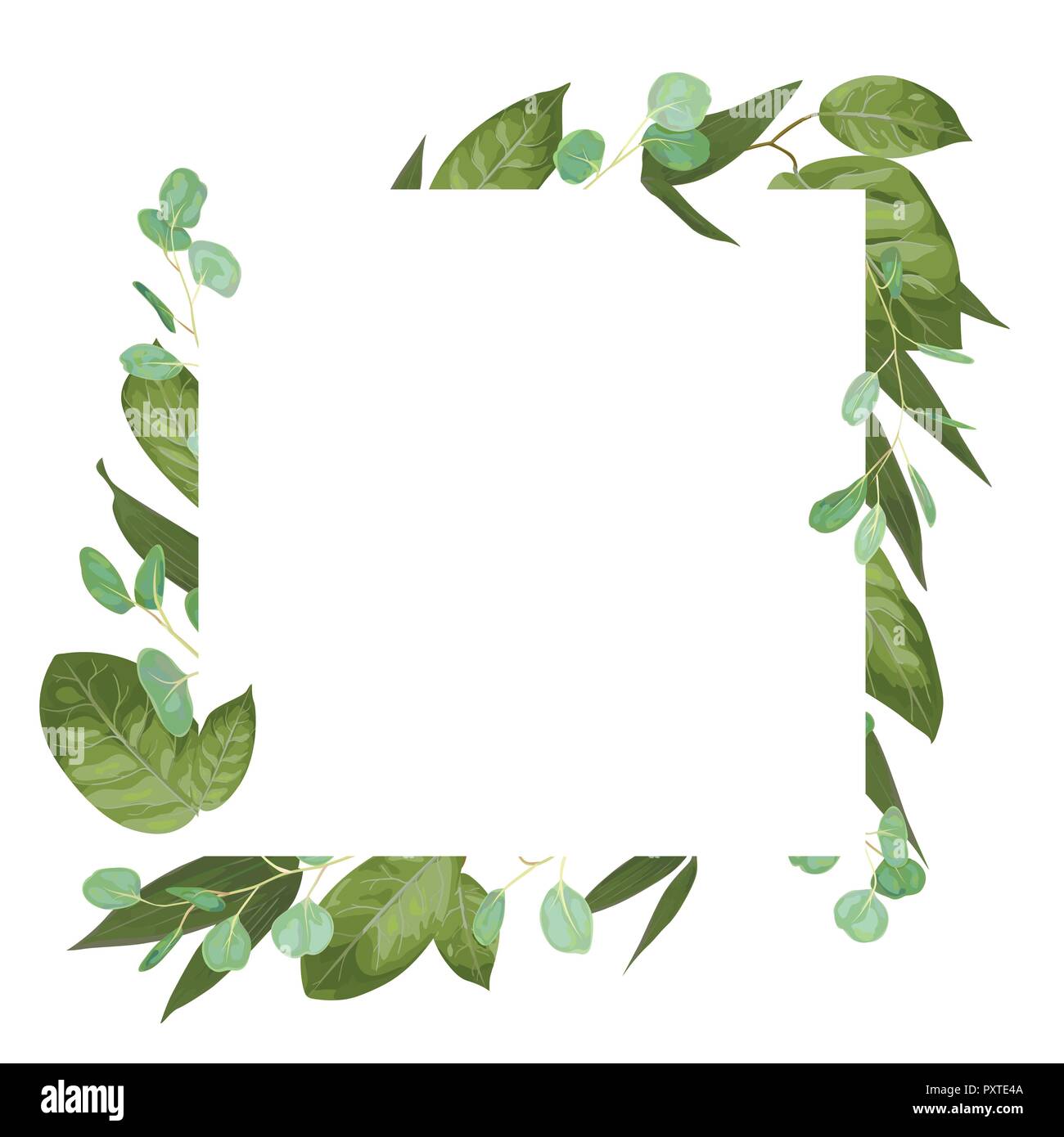 Carte vecteur floral design avec aquarelle verte, d'herbes, de feuilles d'eucalyptus, lily feuilles, vert botanique, cadre décoratif, carré. Accueil mignon, post Illustration de Vecteur