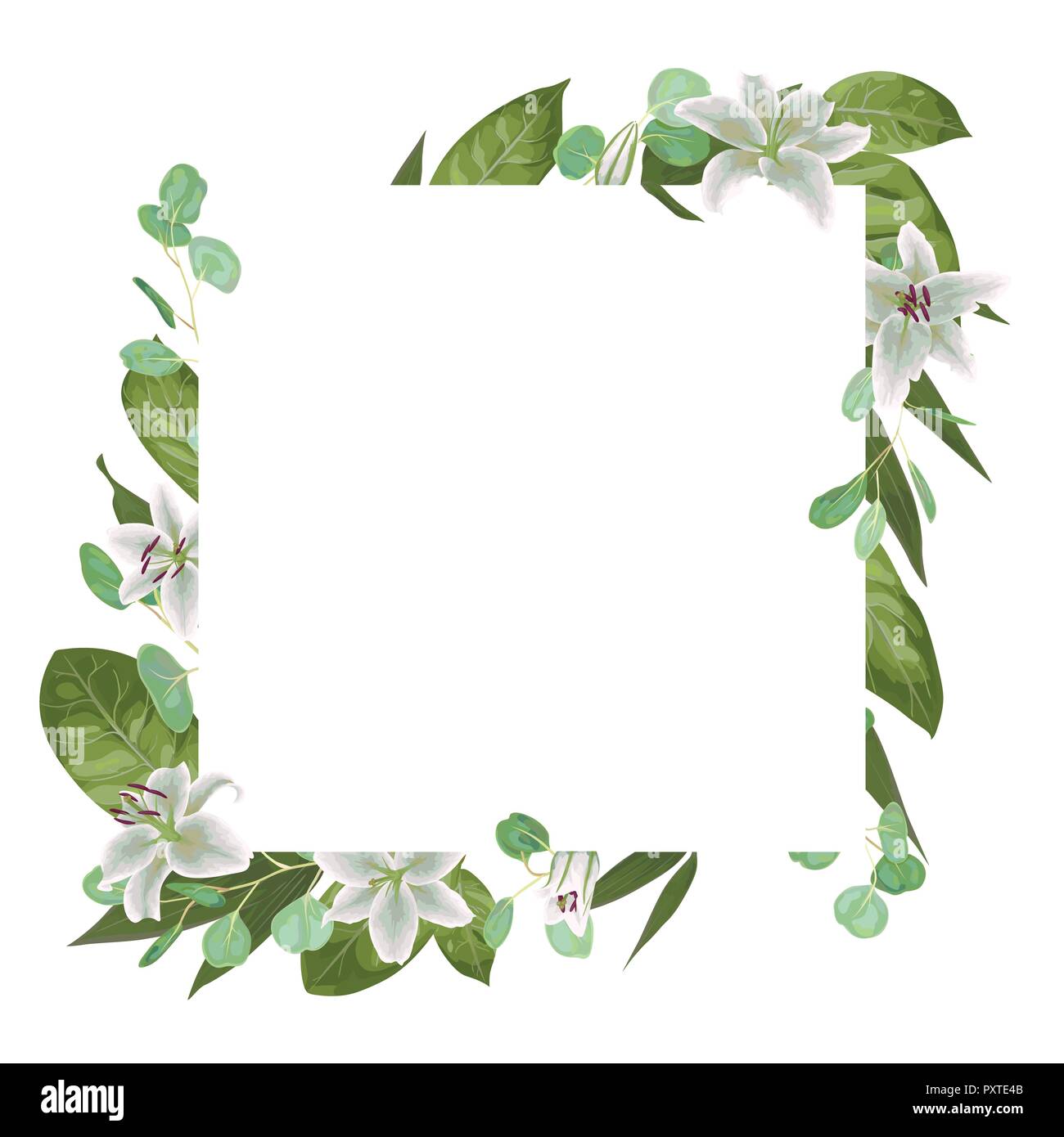 Carte vecteur floral design avec aquarelle verte, d'herbes, de feuilles d'eucalyptus, lys blanc, vert botanique, cadre décoratif, carré. Message d'accueil, postc mignon Illustration de Vecteur