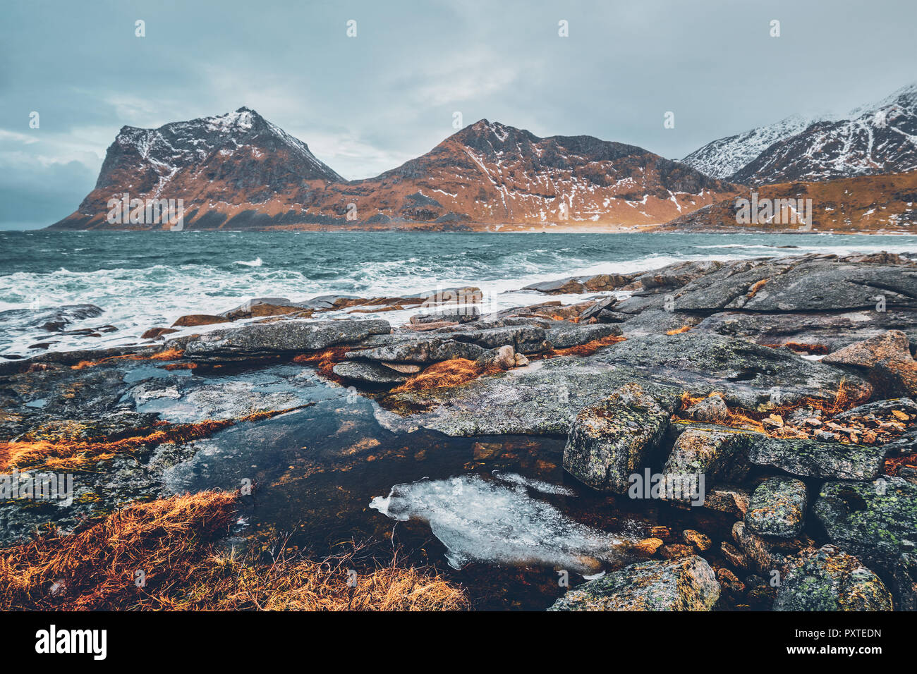Côte Rocheuse de fjord en Norvège Banque D'Images