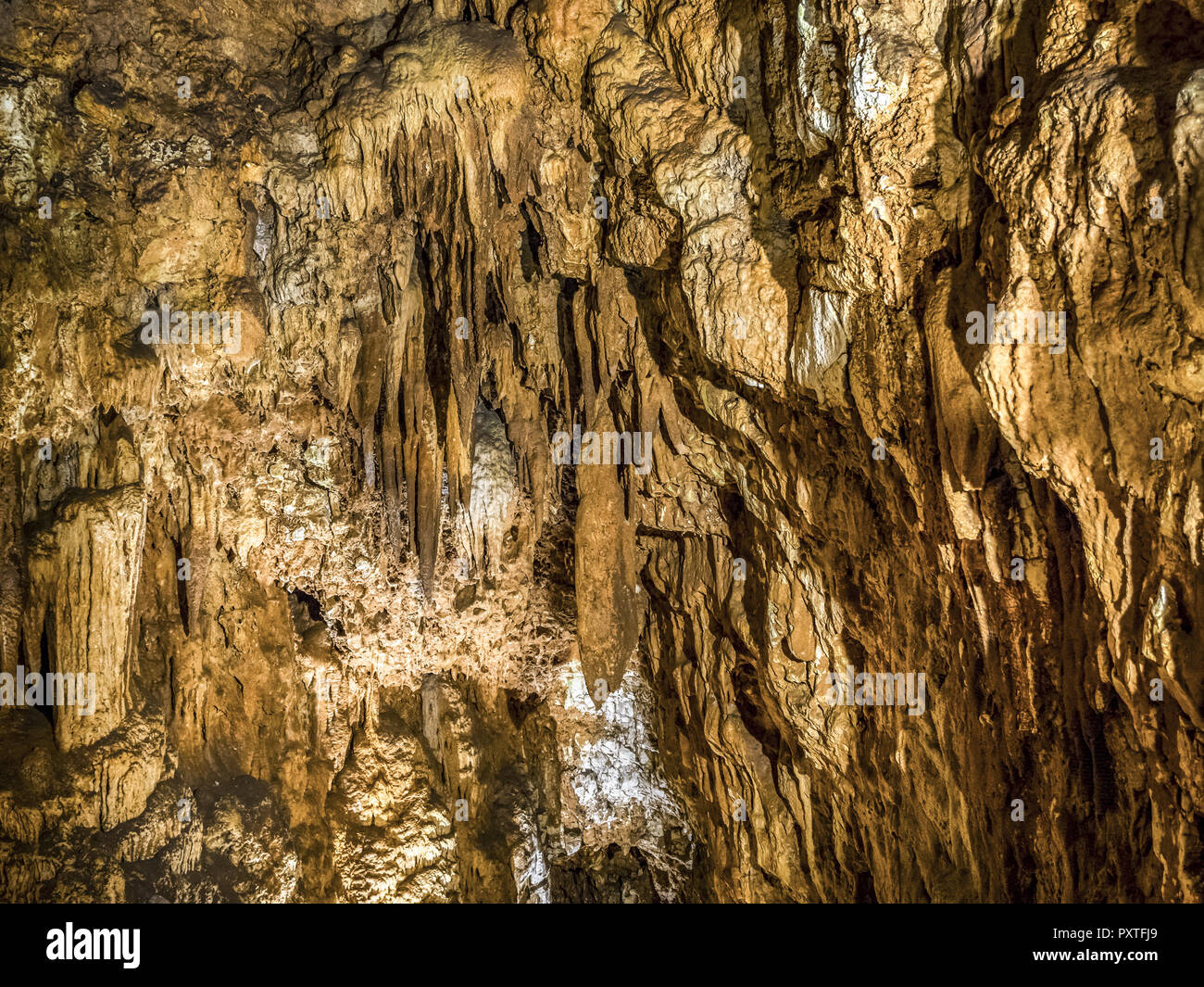 Jama Baredine cave, stalactite, Istrie, Croatie Banque D'Images