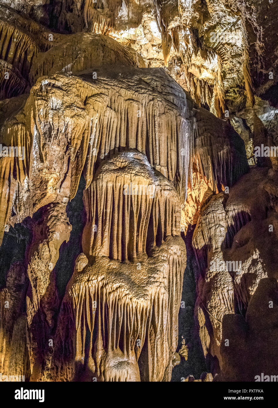 Jama Baredine cave, stalactite, Istrie, Croatie Banque D'Images