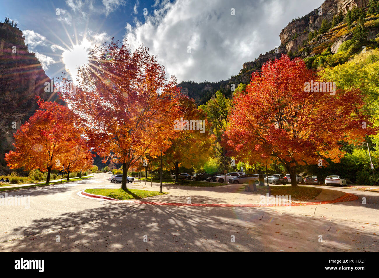 Feuillage d'automne dans le Hanging Lake Colorado Banque D'Images