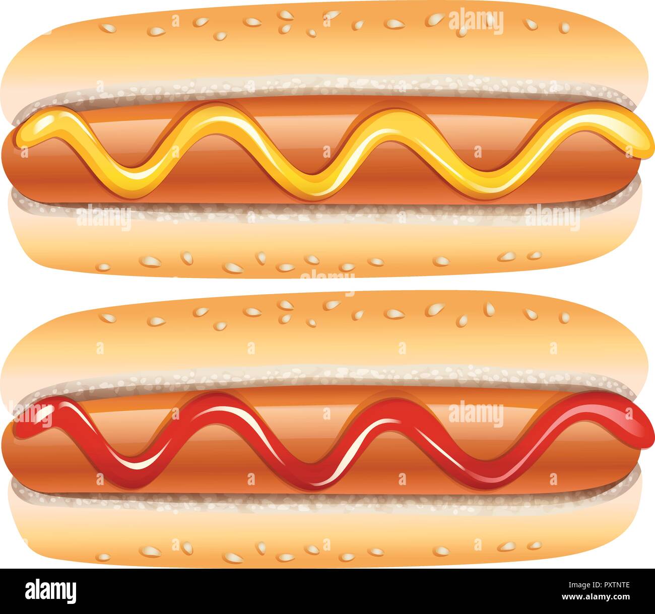 Hot-dogs à la moutarde et le ketchup illustration Illustration de Vecteur