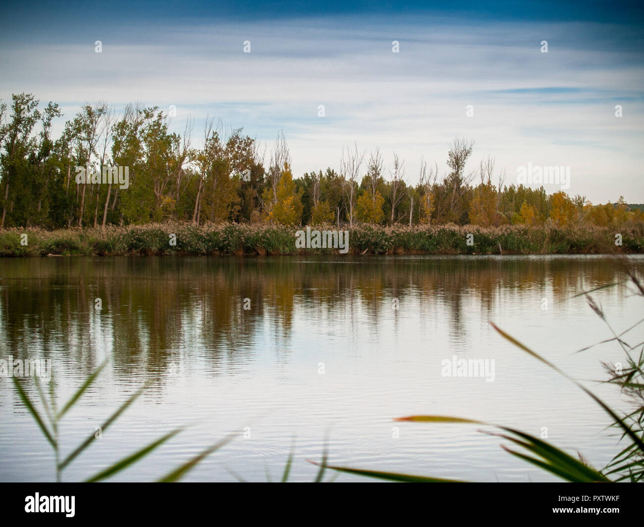 Paysage de rivière avec une eau calme, à l'automne et la réflexion des arbres dans l'eau Banque D'Images