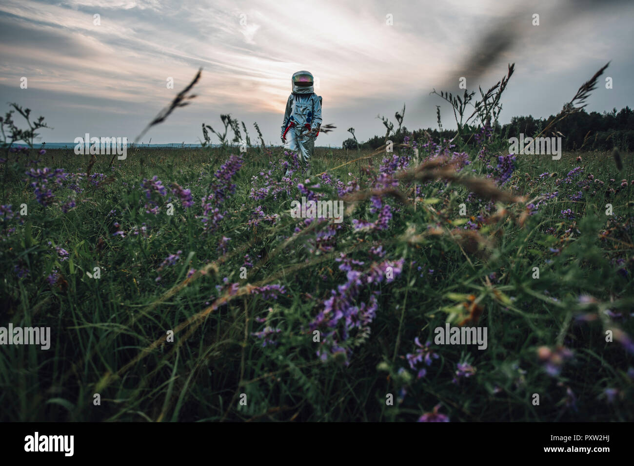 Spaceman explorer la nature, standing in meadow, à la recherche de sky Banque D'Images