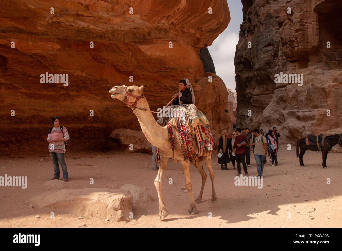 Petra, Jordanie - 19 octobre 2018 : un garçon Bédouin monté sur un chameau dans la ville antique de Pétra, en Jordanie. Banque D'Images
