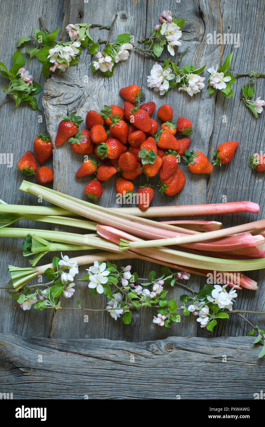 Les tiges de rhubarbe, fraises et Apple Blossoms sur bois Banque D'Images