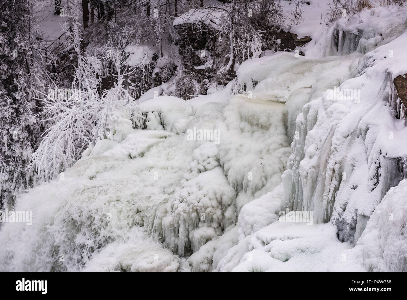 Le parc national de Chittenango Falls est un parc national de 193 hectares situé dans le comté de Madison, dans l'État de New York, à l'est du lac Cazenovia. Banque D'Images