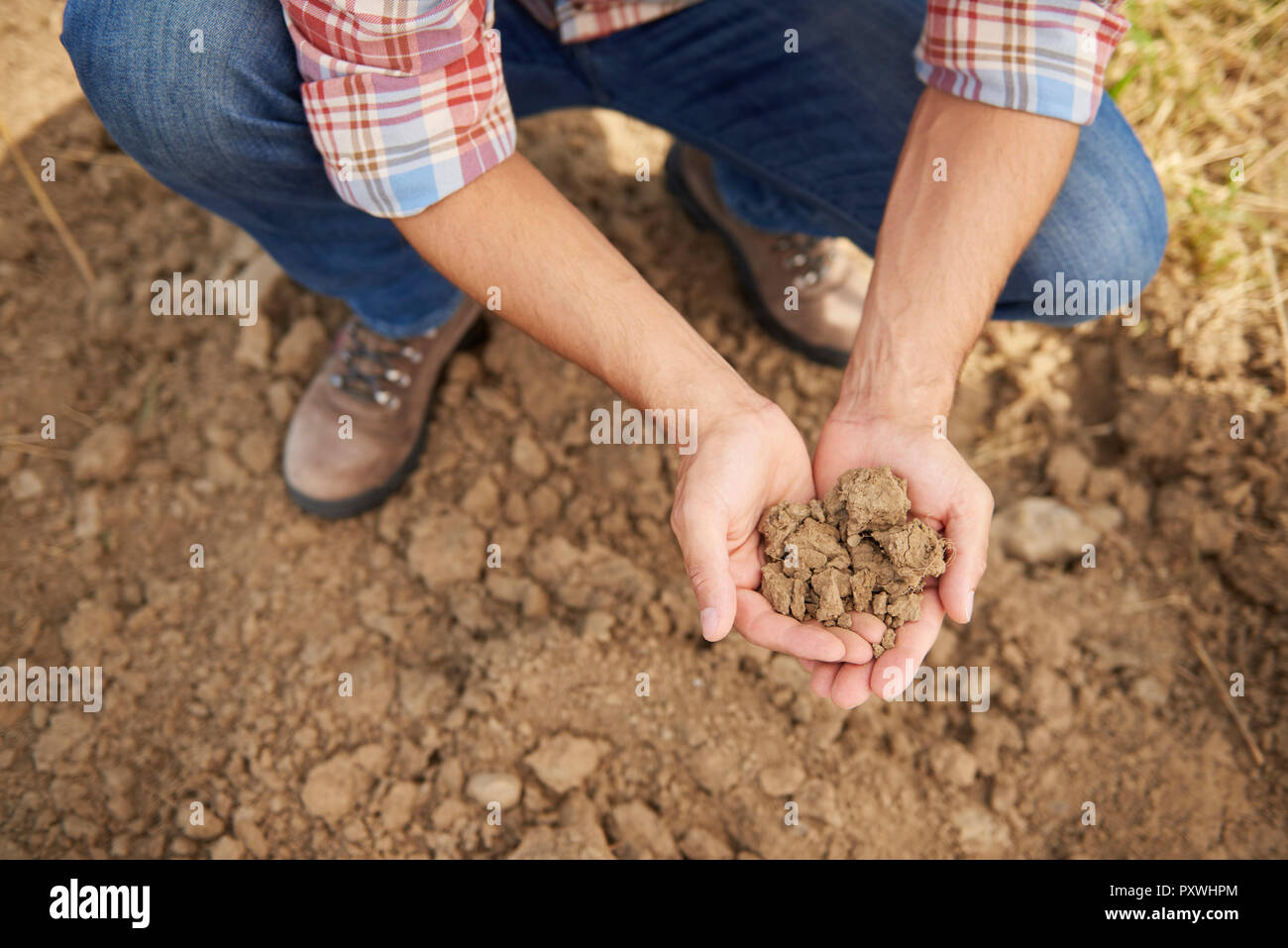 Farmer holding sol dans ses mains Banque D'Images