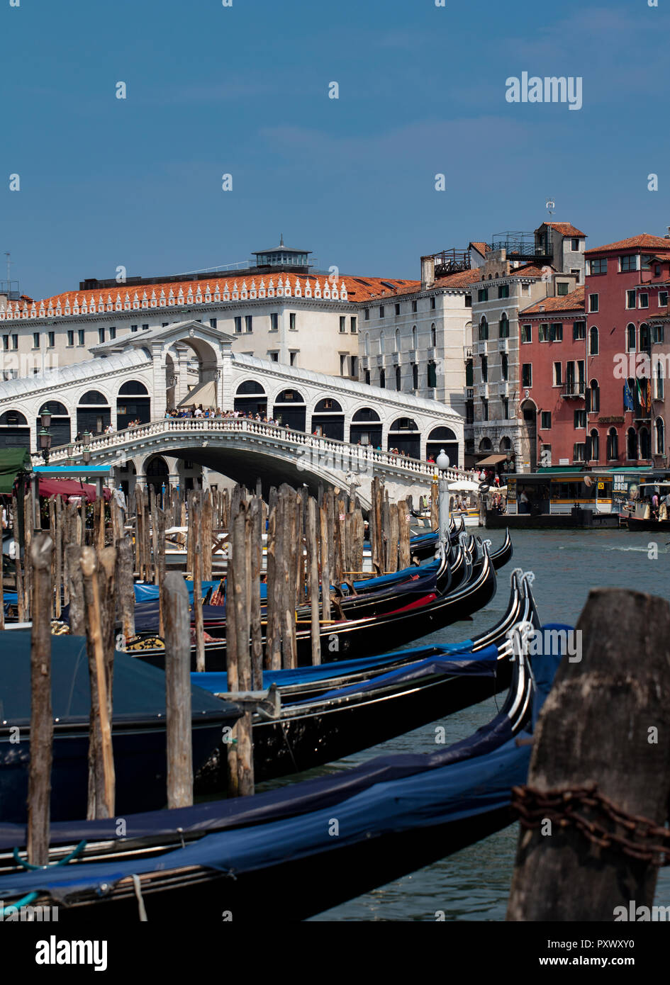 Gondoles amarrées le long du Grand Canal à Venise à proximité du Pont du Rialto, une destination touristique populaire à Venise. Banque D'Images
