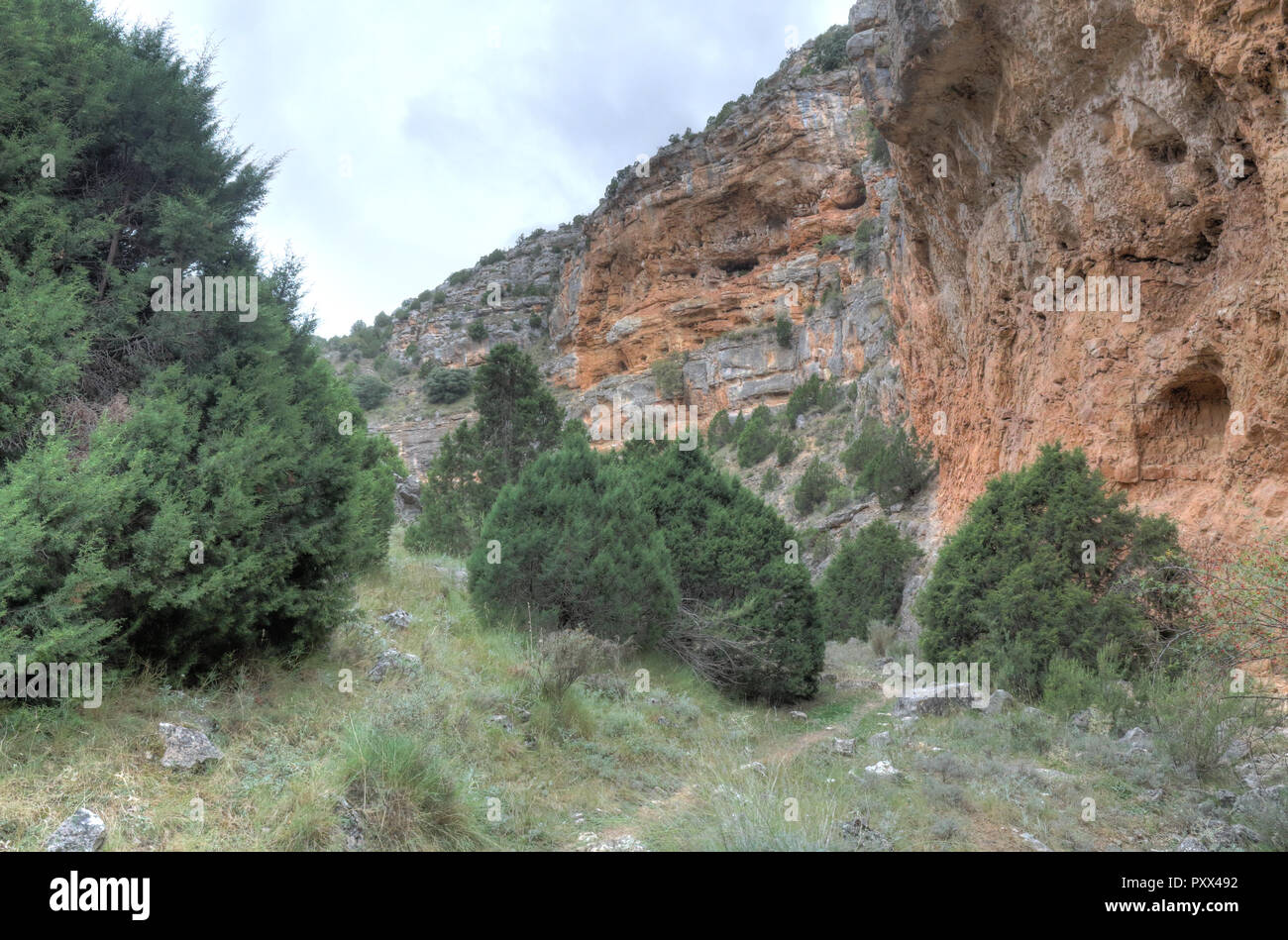 Le Barranco de la Hoz (ASEC) Gully souiller sec canyon, avec des escarpements, de buissons et de rochers rouges, dans un ciel nuageux l'automne, dans la ville rurale Jaraba, Aragon, Espagne Banque D'Images