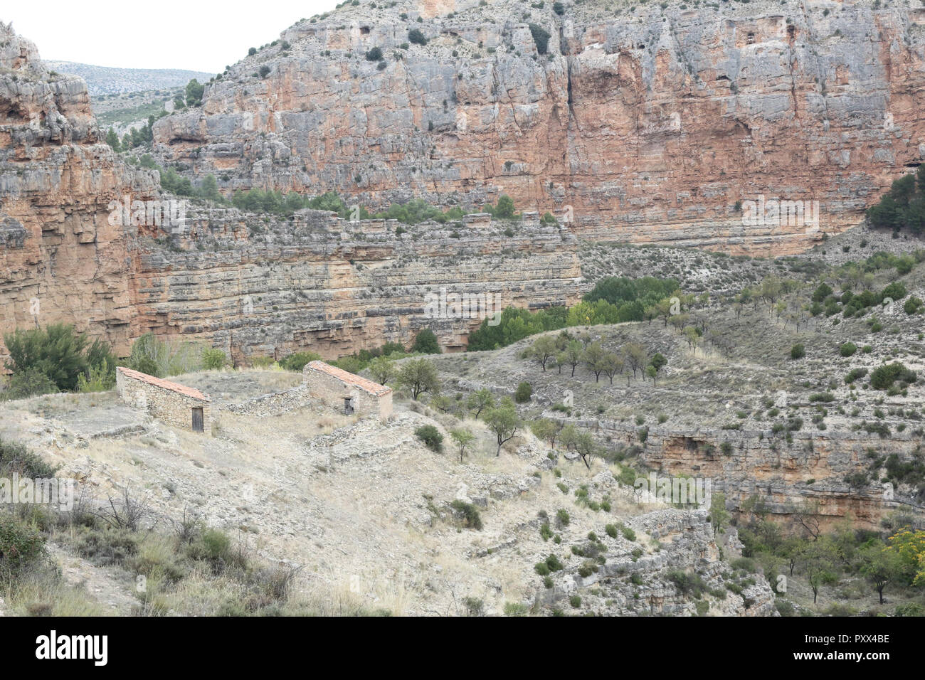 Le Barranco de la Hoz (ASEC) Gully souiller sec canyon, avec des escarpements, de buissons et de rochers rouges, dans un ciel nuageux l'automne, dans la ville rurale Jaraba, Aragon, Espagne Banque D'Images