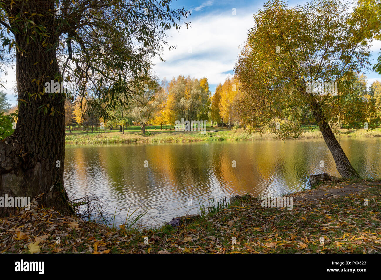 Automne rivière paisible avec des réflexions entourant les arbres à feuillage coloré vu passé une branche d'arbre et les feuilles Banque D'Images