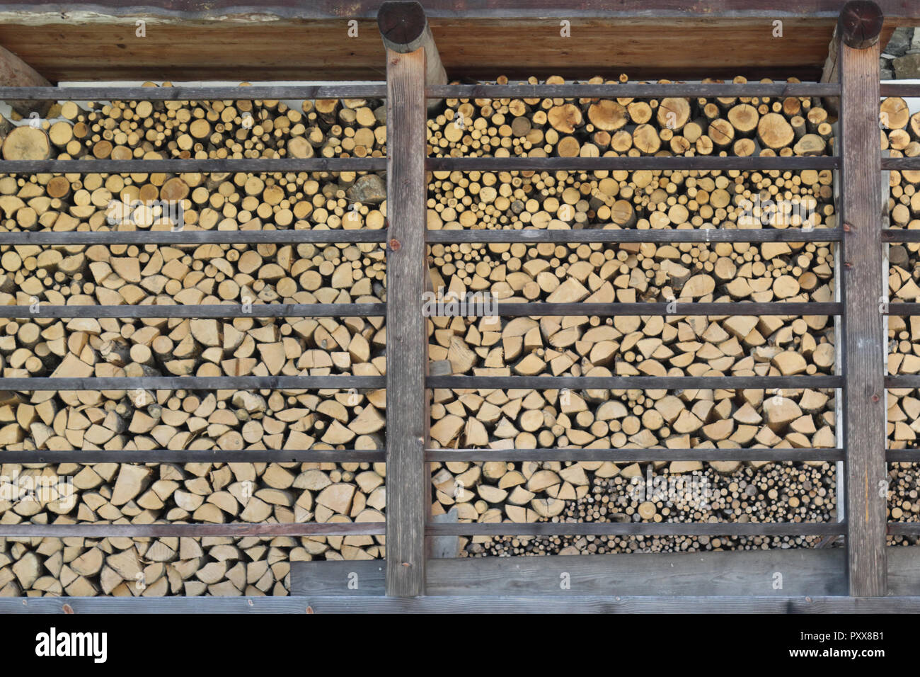 Un lot de piles de bois rond jaune et marron coupé en billes régulières et stockées dans woodshed Banque D'Images
