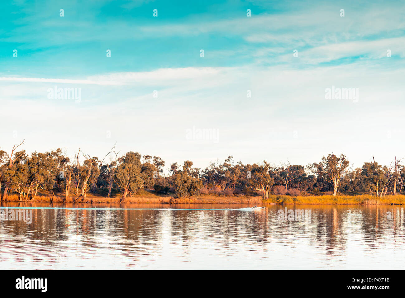 Murray River au coucher du soleil, Riverland, Australie du Sud rural Banque D'Images