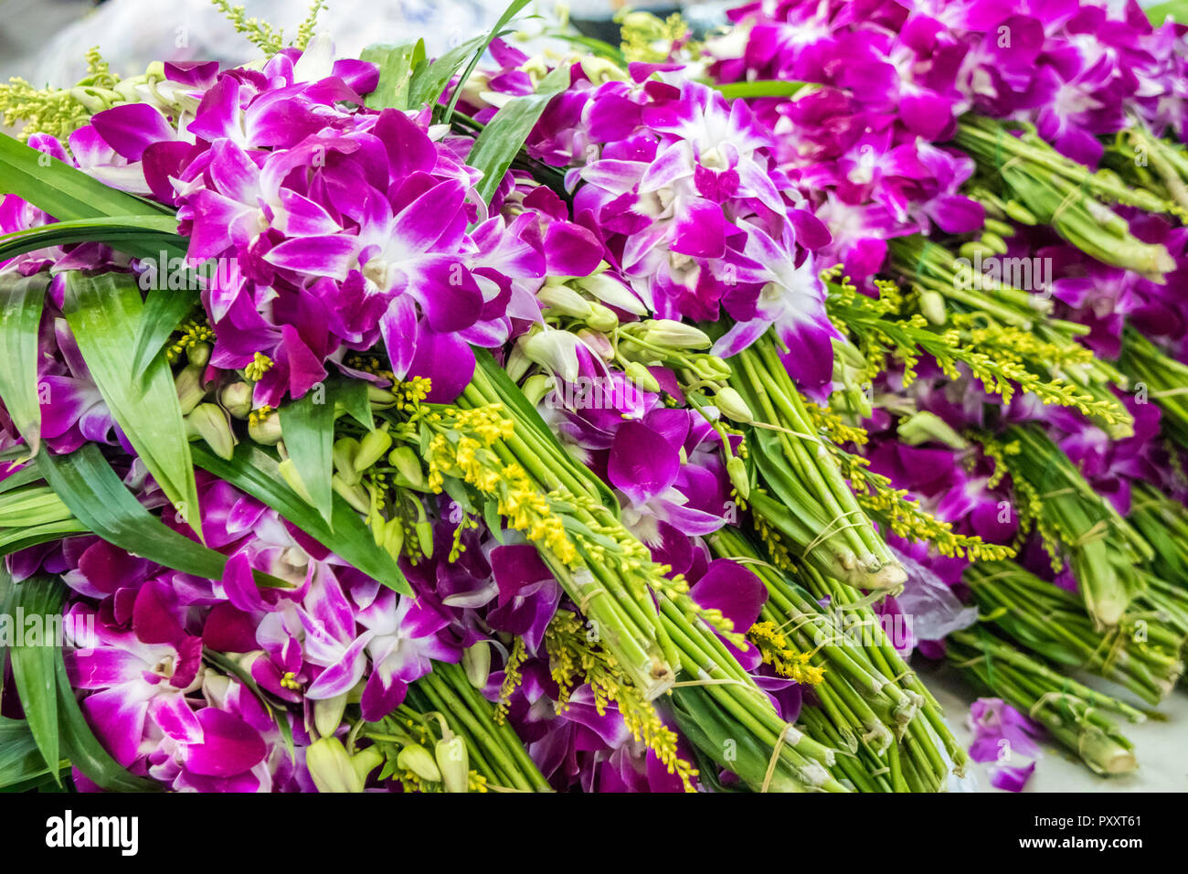 Bouquets d'orchidées pourpres à Pak Khlong Talad marché aux fleurs. Banque D'Images