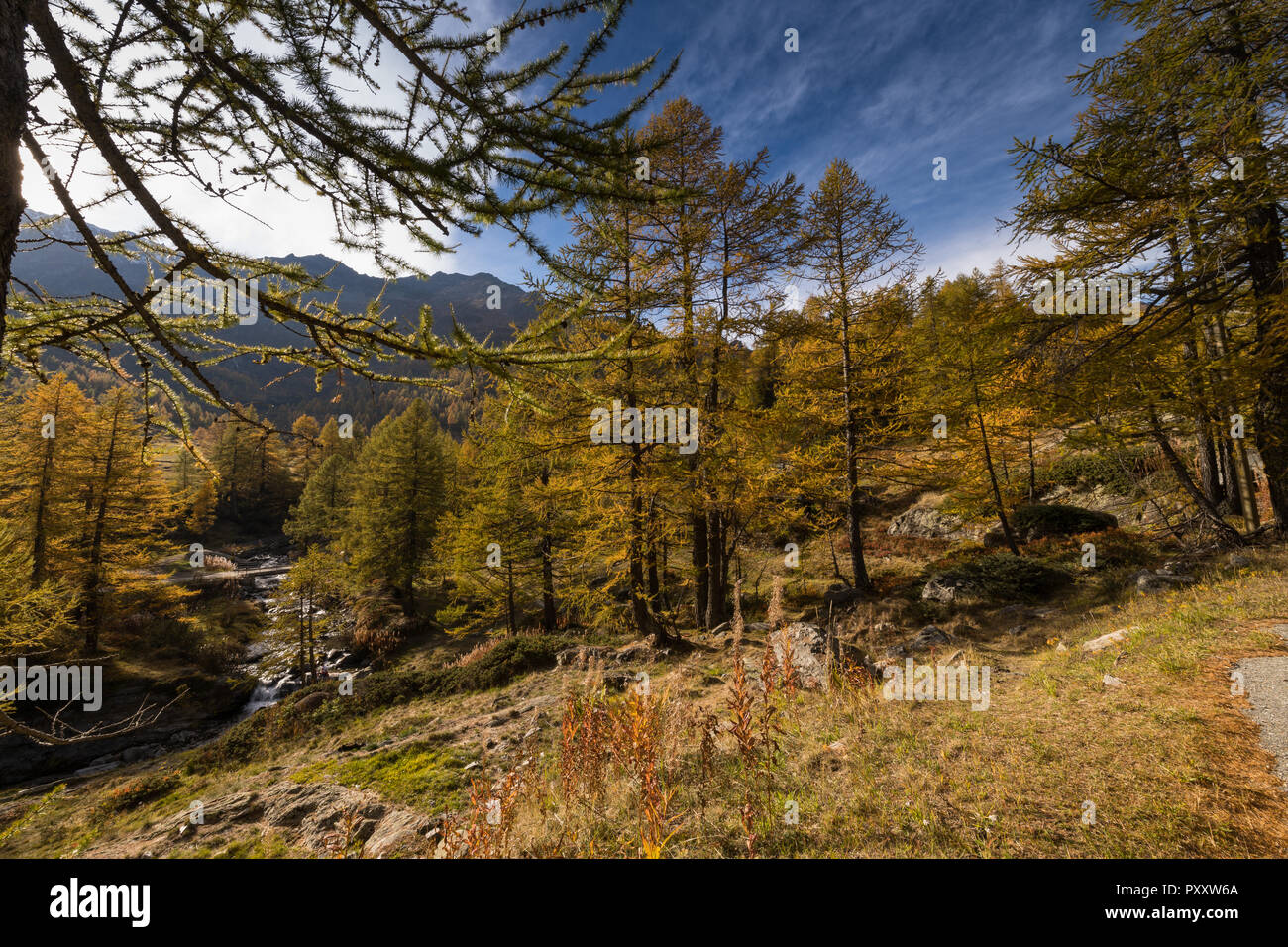 L'automne coloré à alpes suisses au col du Simplon Banque D'Images
