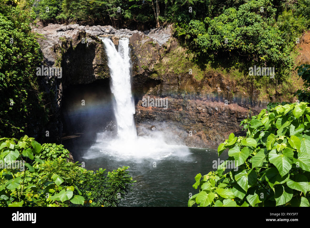 Rainbow Falls à Hilo, Big Island d'Hawaii. Il tombe 40 pieds de rock pour la piscine ci-dessous. Il est entouré de végétation tropicale. Banque D'Images