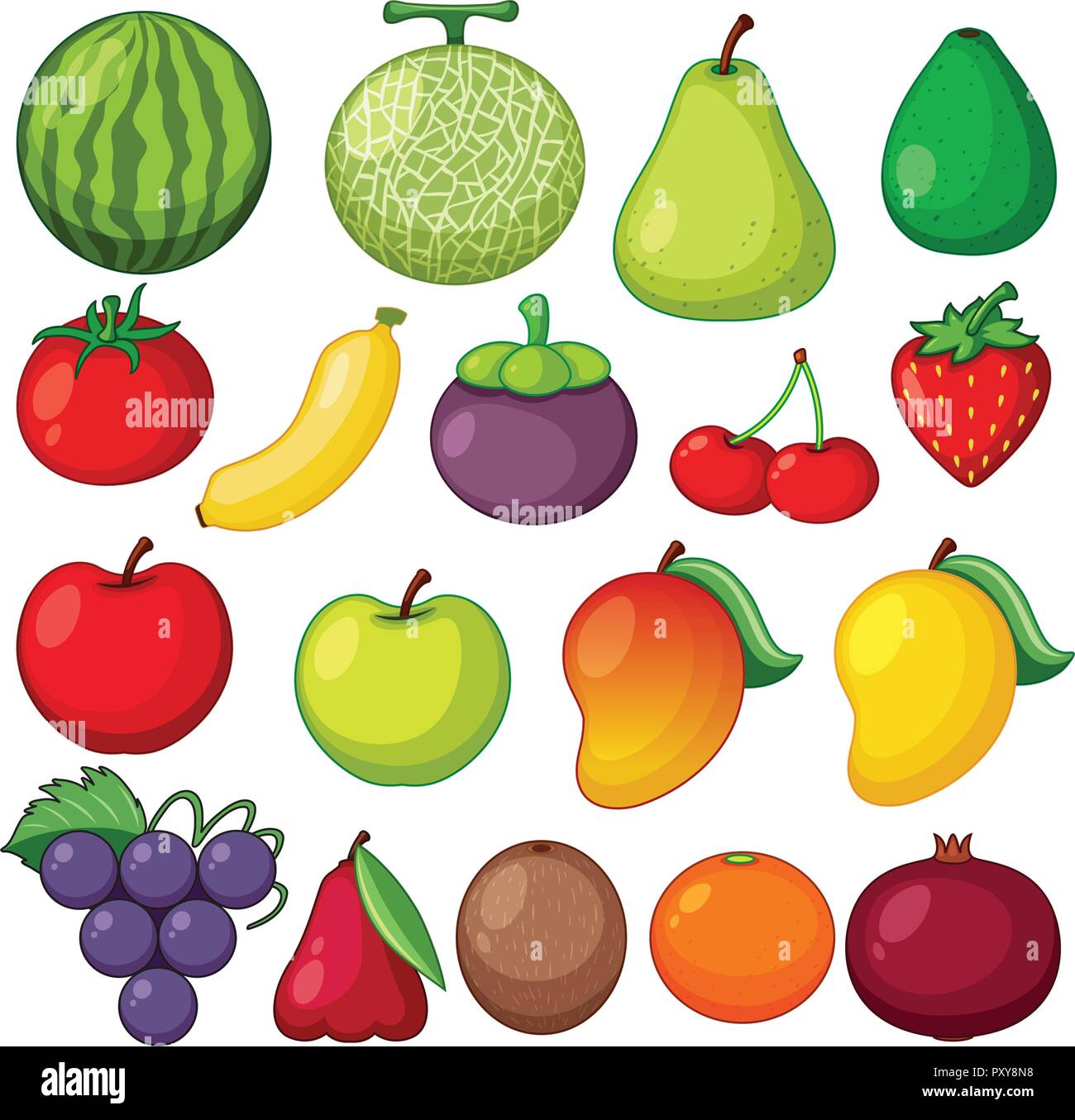 Différents types de fruits sur fond blanc illustration Illustration de Vecteur