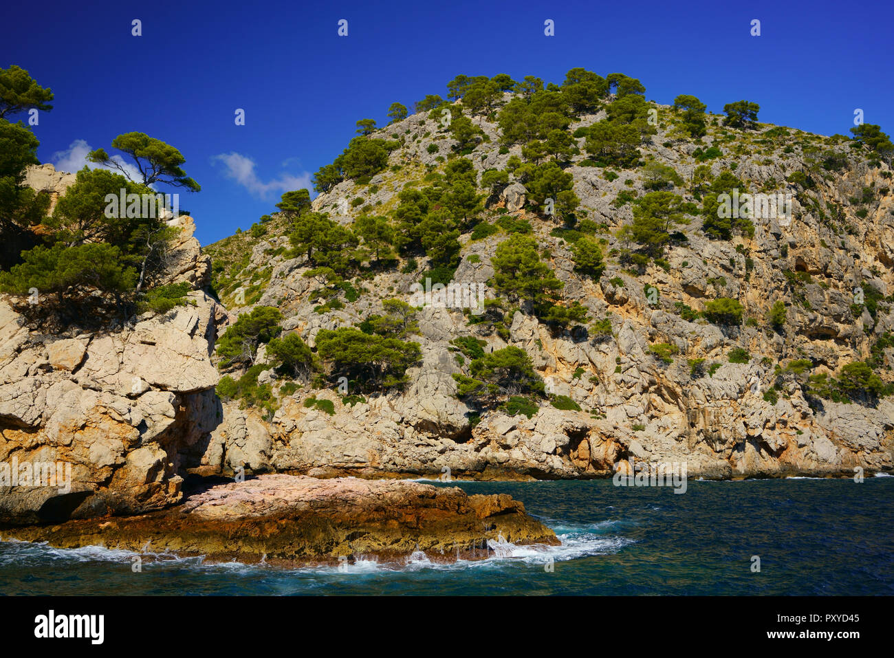 Côte spectaculaire, Cala en Feliu, nord de Majorque, Iles Baléares, Espagne. Banque D'Images