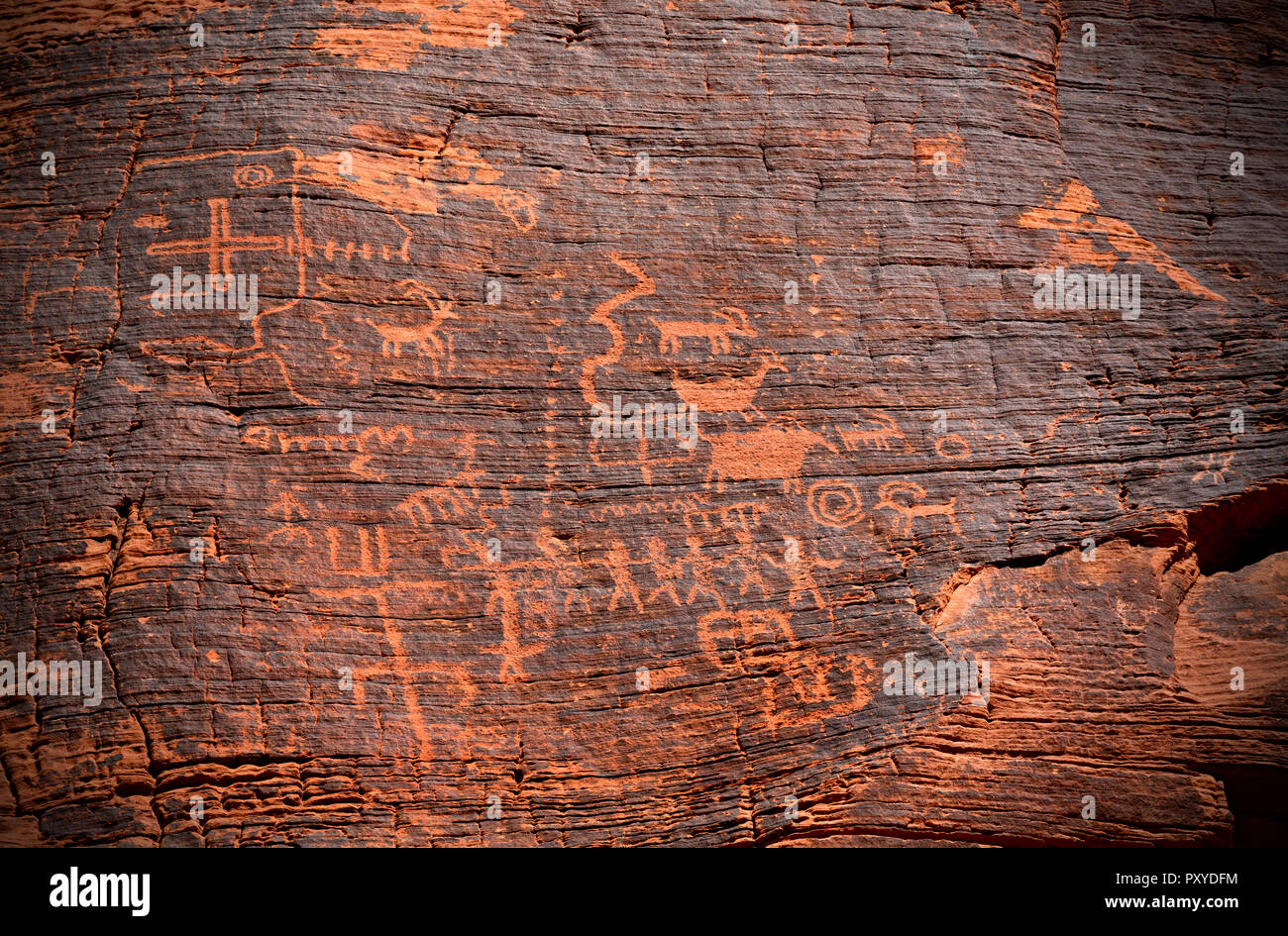 NEVADA - des dessins d'animaux, de personnes et de dessins géométriques sur le vernis du désert dans la région de Petroglyph Canyon, Vallée de Feu de stationnement. Banque D'Images
