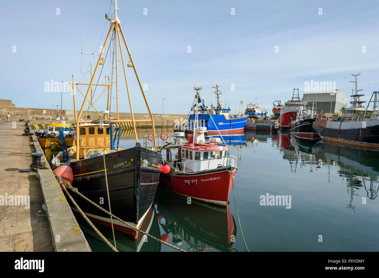 Bateaux de pêche dans le port de Macduff, Aberdeenshire Banque D'Images