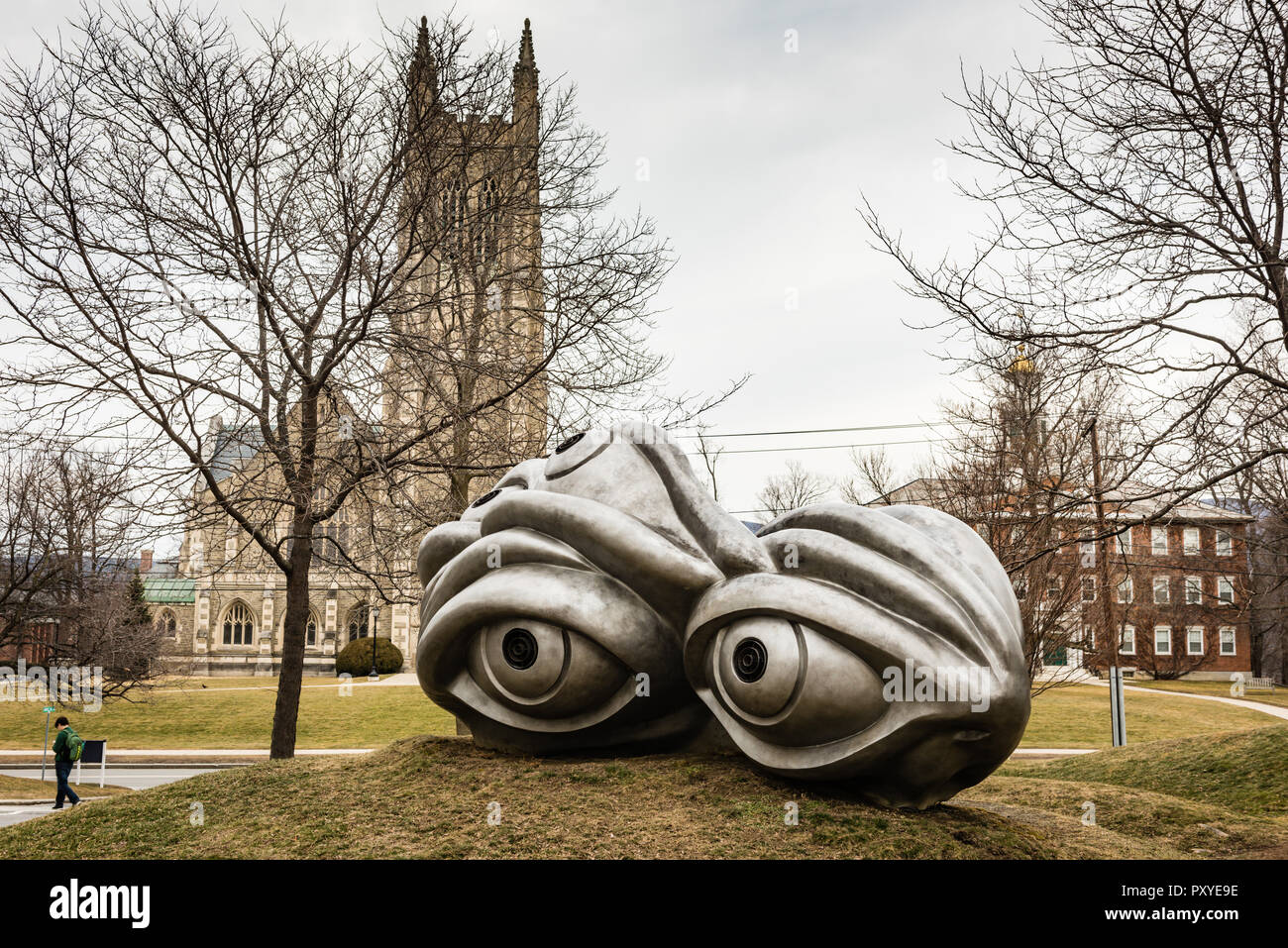 Les yeux métalliques géantes, une piscine art installation par Louise Bourgeois, au Williams College Museum of Art à Williamstown, Massachusetts Banque D'Images