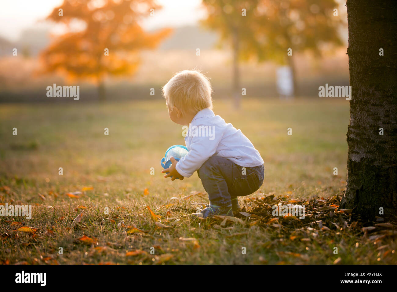 Contexte de l'automne les feuilles et fruits sur une surface en bois Photo  Stock - Alamy