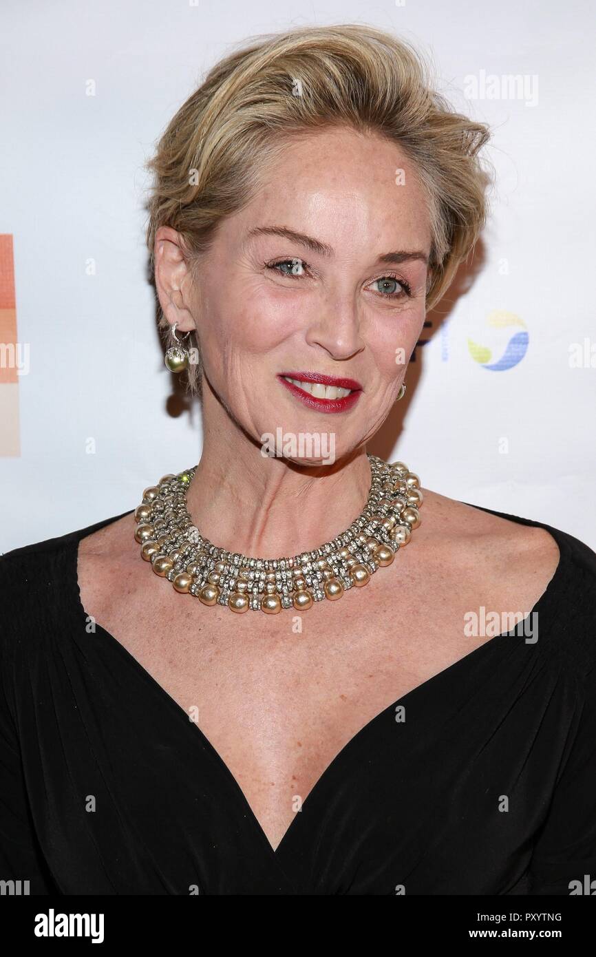 New York, USA. 24 octobre, 2018. Arrivées à Sharon Stone pour les médicaments pour les maladies négligées (DNDi) initiatives faisant l'histoire médicale, Gala Bowery Hotel, New, New York le 24 octobre 2018. Photo par : Jason Mendez/Everett Collection Crédit : Everett Collection Inc/Alamy Live News Banque D'Images
