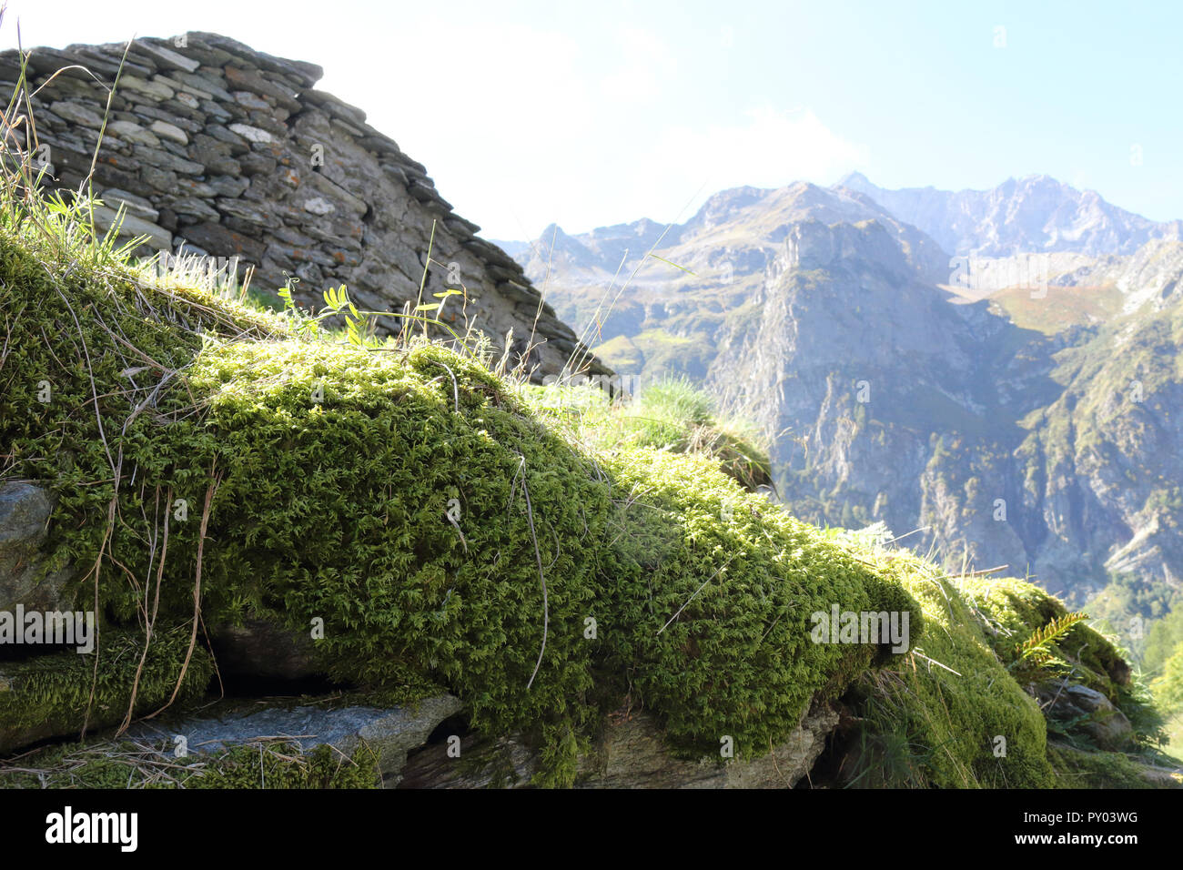 Un toit en pavillon rural type de mousse et de lichens carreaux couverts au cours d'un été ensoleillé dans le piémont des Alpes, Italie Banque D'Images