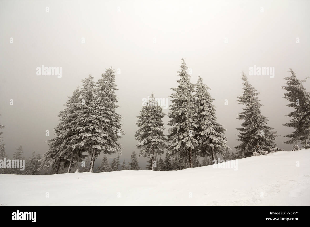 Noir Et Blanc Hiver Paysage De Montagne Vue Grand Angle