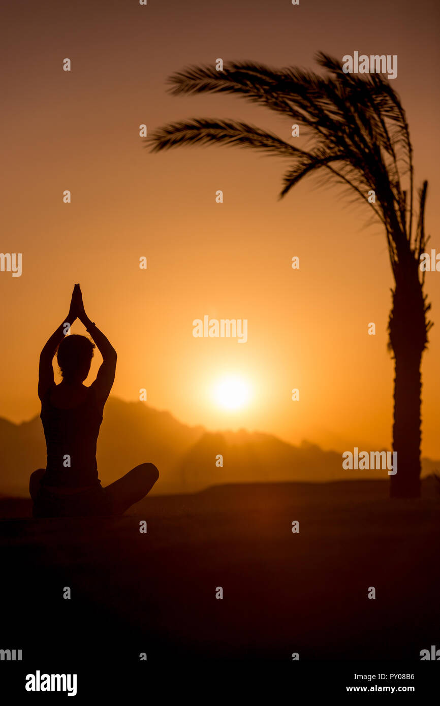 Silhouette de jeune femme assise en place à côté de tropical serein palmier, regardant lever de soleil ou le réglage dans les montagnes, la méditation, la pratique du yoga Banque D'Images