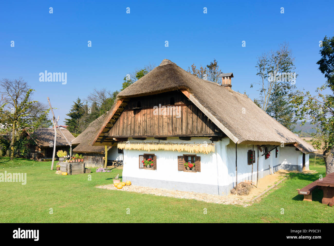 Gorisnica : musée de plein air de vieille ferme traditionnelle, toit de chaume, tirer bien dans , Stajerska (Styrie), Slovénie Banque D'Images