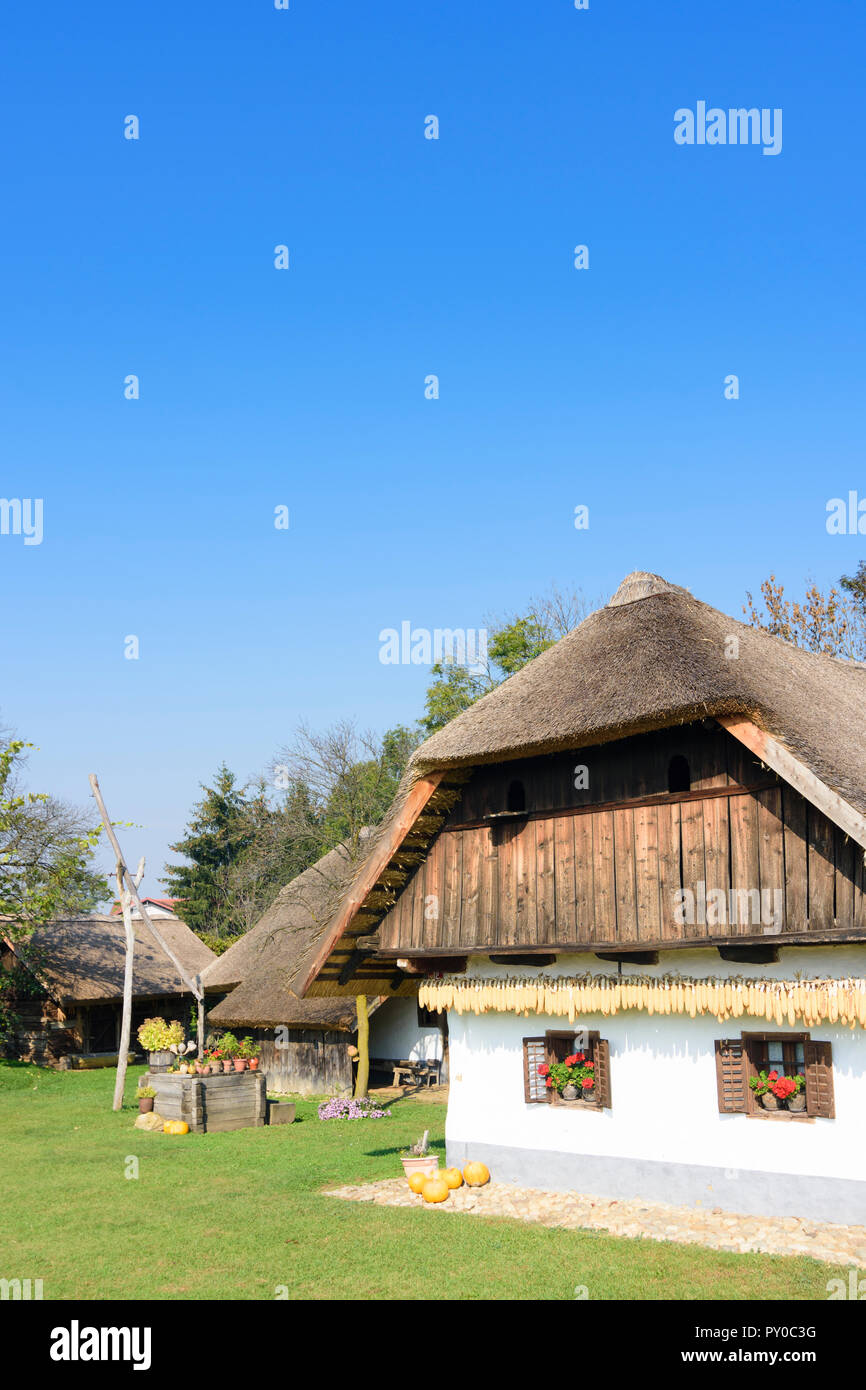 Gorisnica : musée de plein air de vieille ferme traditionnelle, toit de chaume, tirer bien dans , Stajerska (Styrie), Slovénie Banque D'Images