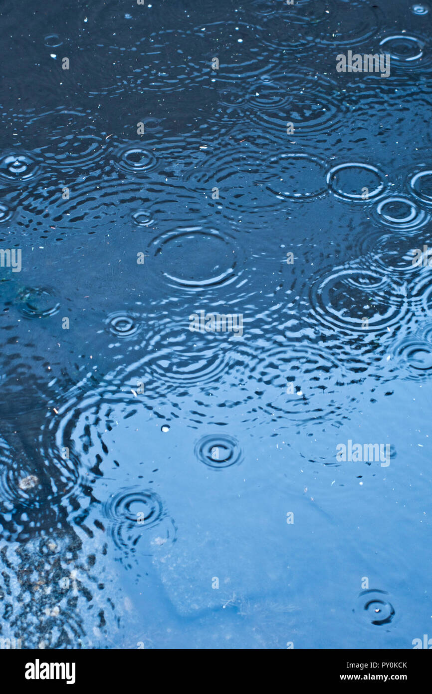 Gouttes De Pluie Qui Tombe Dans Un Bassin D Eau La Creation D Ondulations Photo Stock Alamy Gouttes De Pluie Qui Tombe Dans Un Bassin D Eau La Creation D Ondulations Photo Stock Alamy