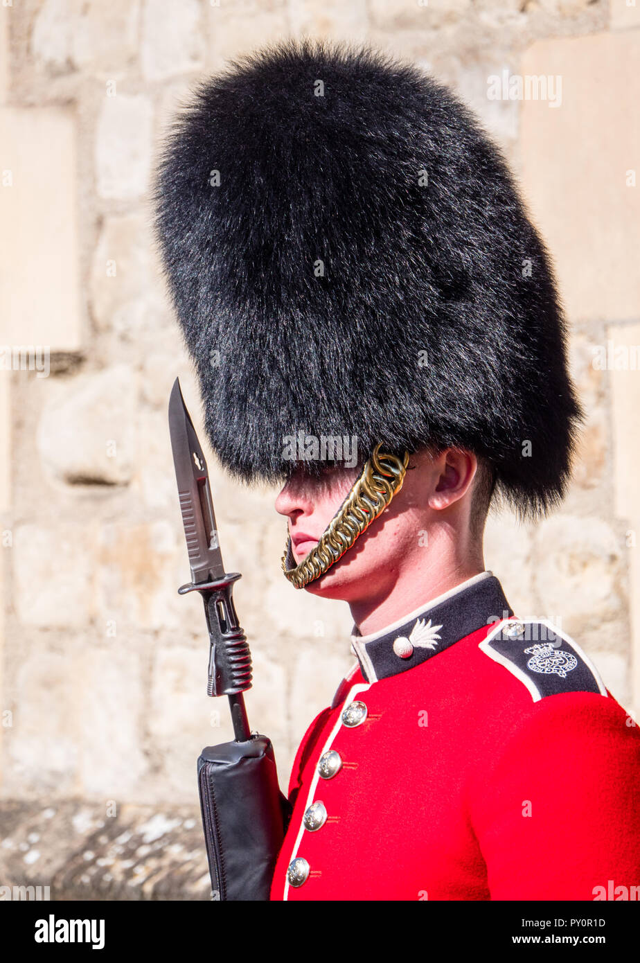 Garde royale à la Tour de Londres, à Bearskin Hat, gardant les joyaux
