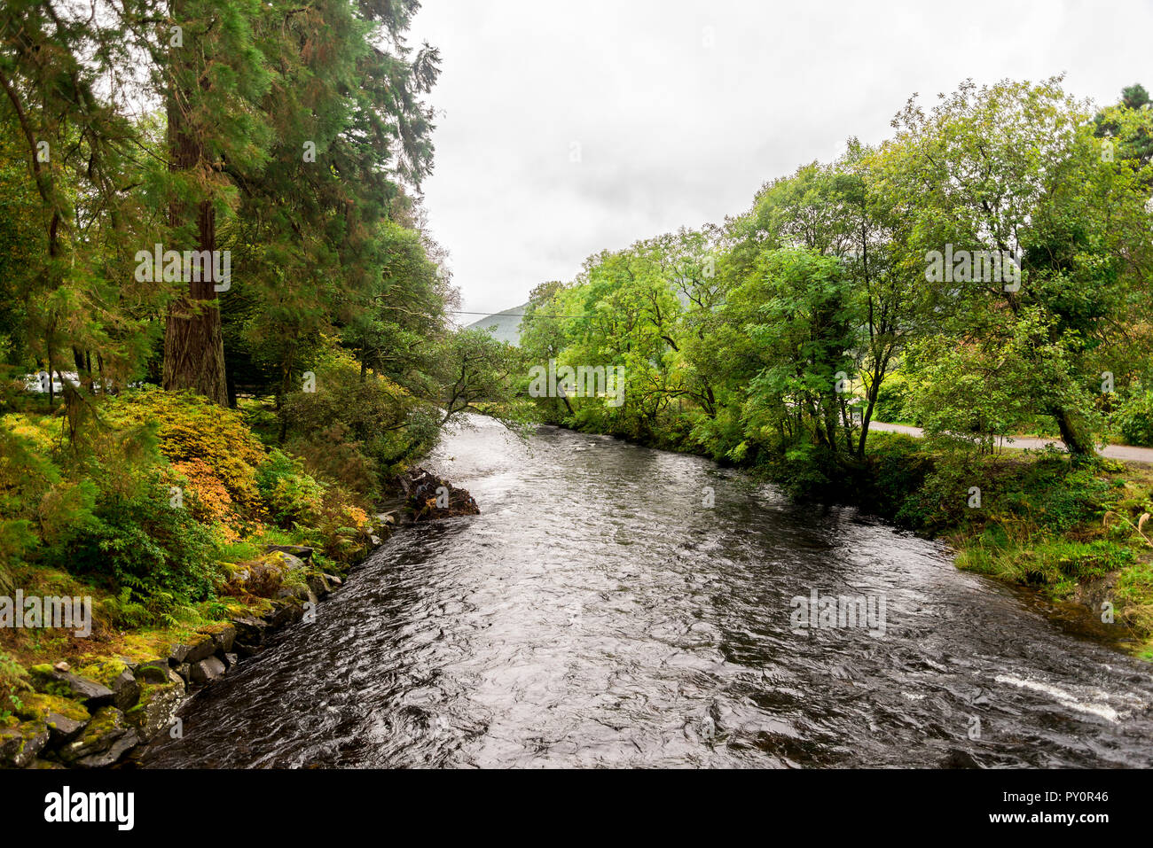 River Eachaig circulant à Benmore Botanic Garden, Le Loch Lomond et le Parc National des Trossachs, Ecosse Banque D'Images