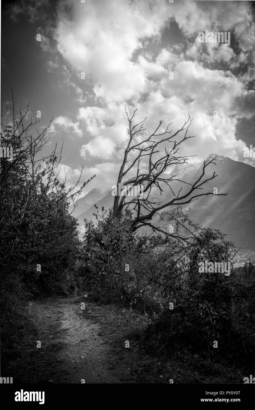 Panorama de la ville depuis la montagne par mauvais temps.Couleurs d'automne Banque D'Images