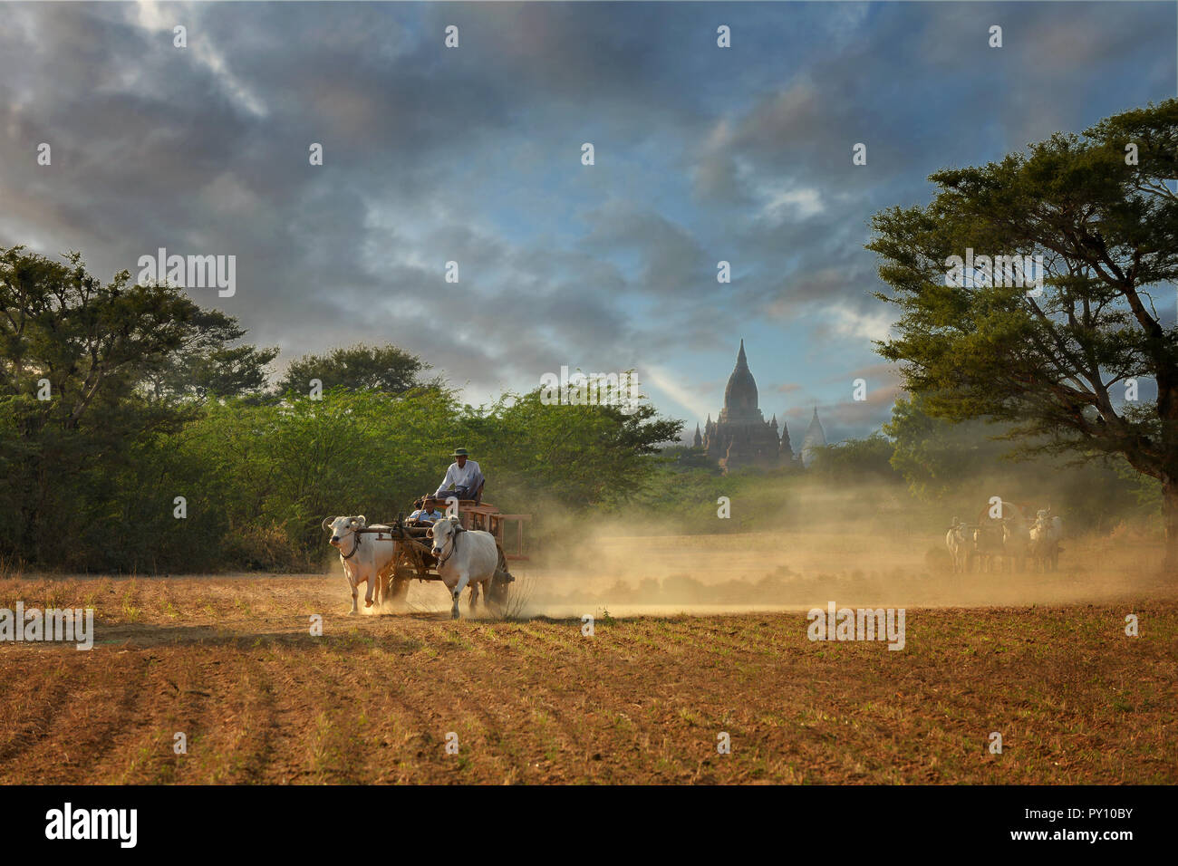 Deux hommes roulant à travers champs dans un panier en bois, Bagan, Myanmar Banque D'Images