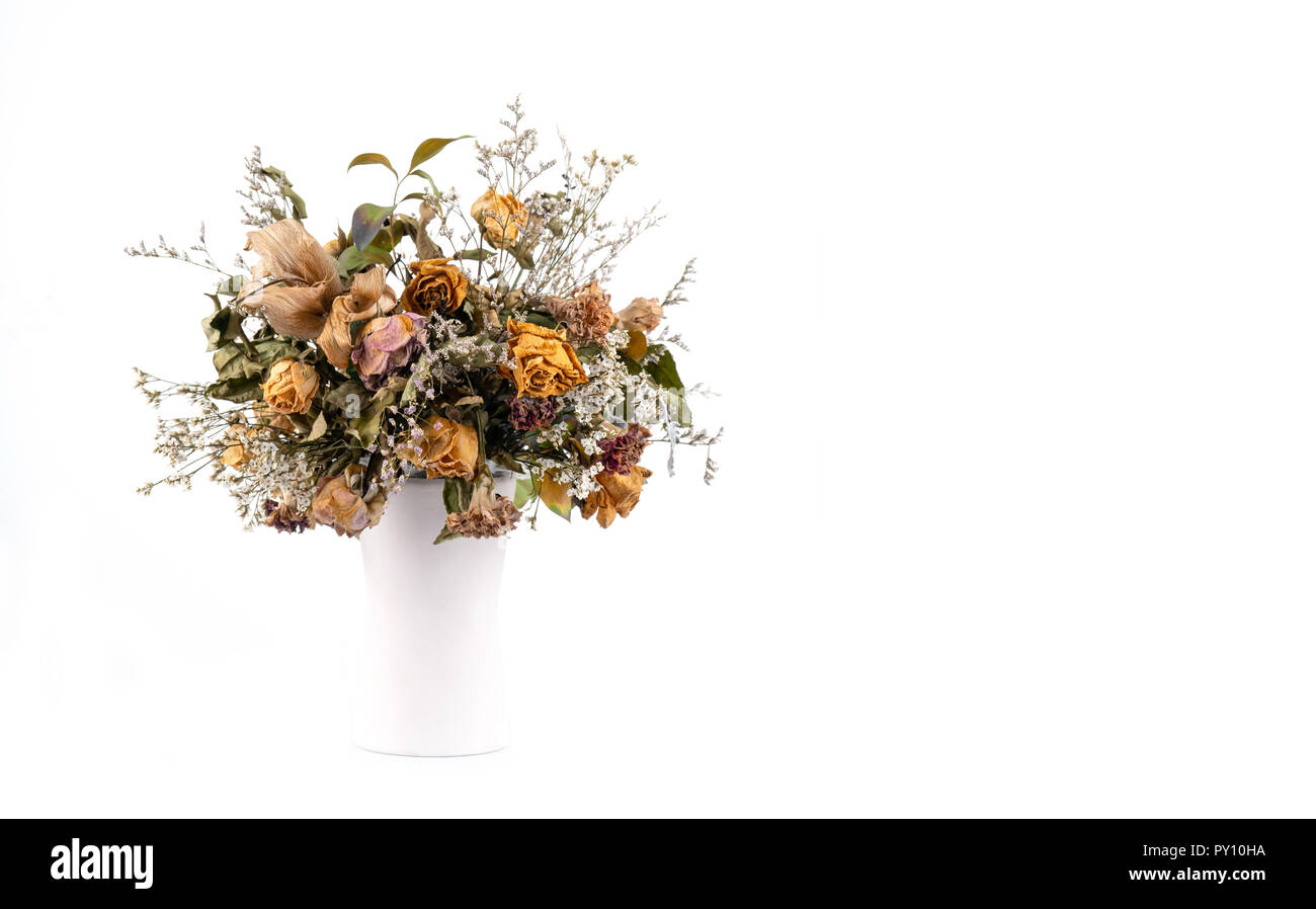 Fleurs séchées dans un vase sur fond blanc Banque D'Images