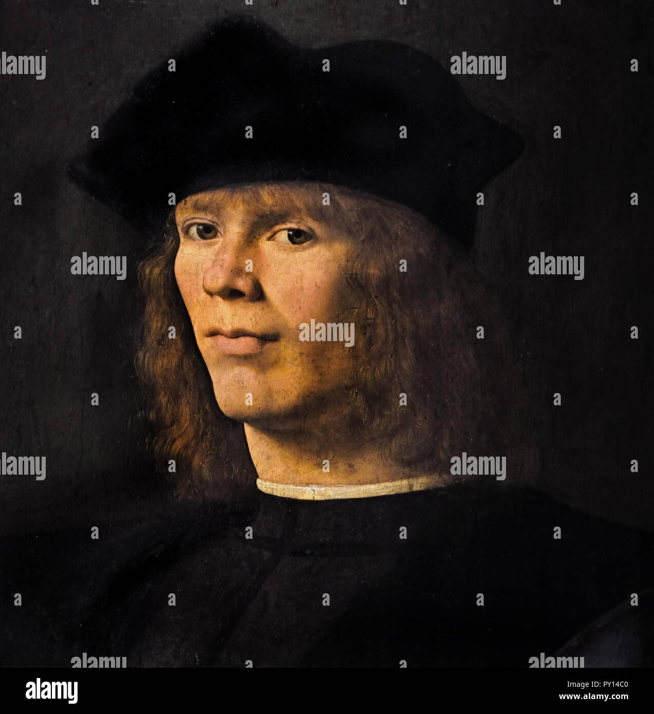 Portrait of a Young Man 1500 - 1506 Andrea Solario 1470-1524 16e siècle, l'Italie, l'italien. Banque D'Images