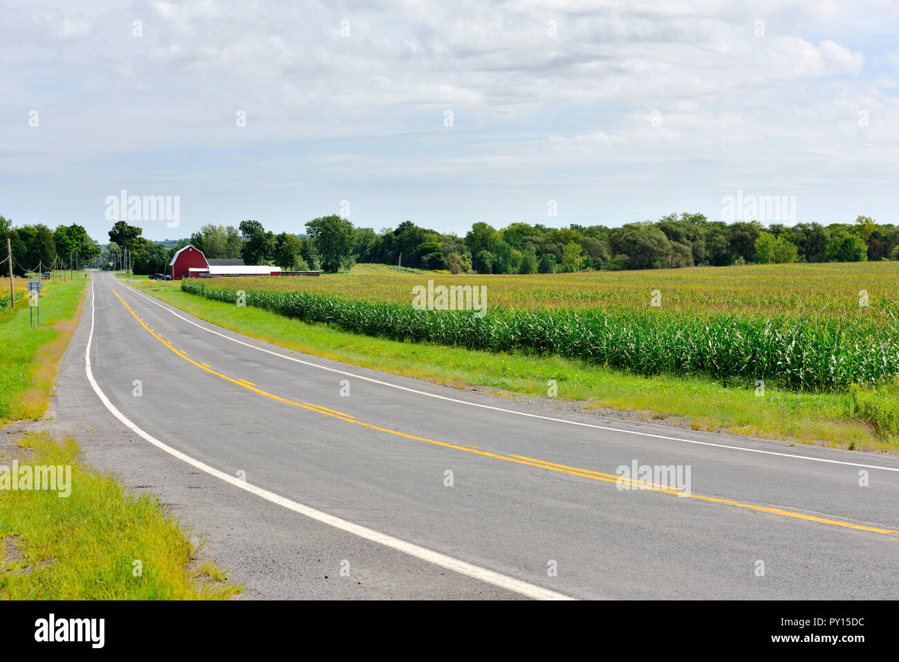 Paysage rural de terres agricoles dans la région des lacs Finger de l'état de New York, USA Banque D'Images