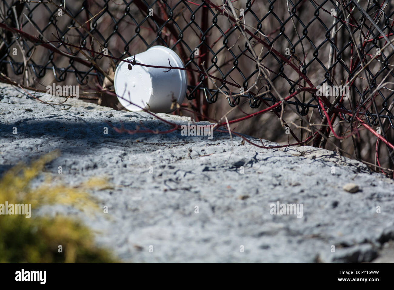 Un récipient en polystyrène contre une clôture dans un parc Banque D'Images