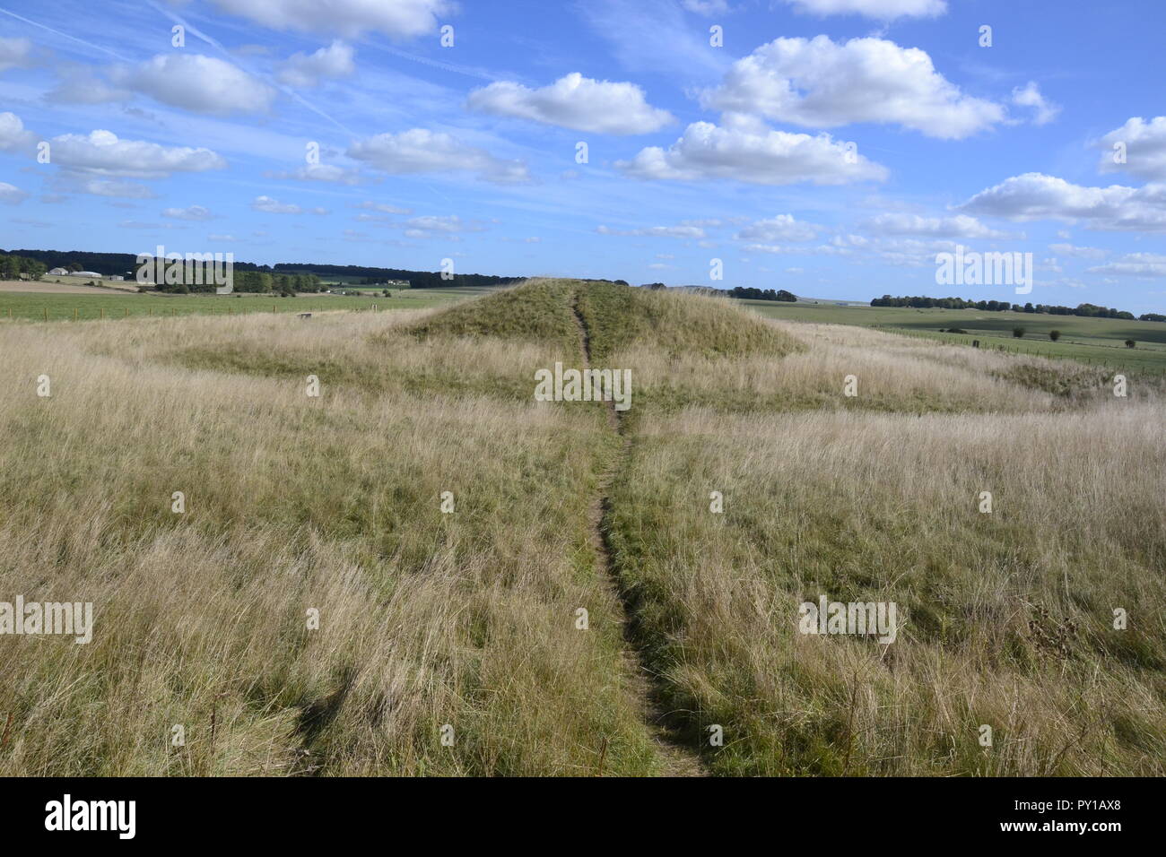 Cursus des castrats. Anciens tumulus funéraires ou à Stonehenge barrows cursus sur le paysage de Stonehenge, Wiltshire, England, UK Banque D'Images