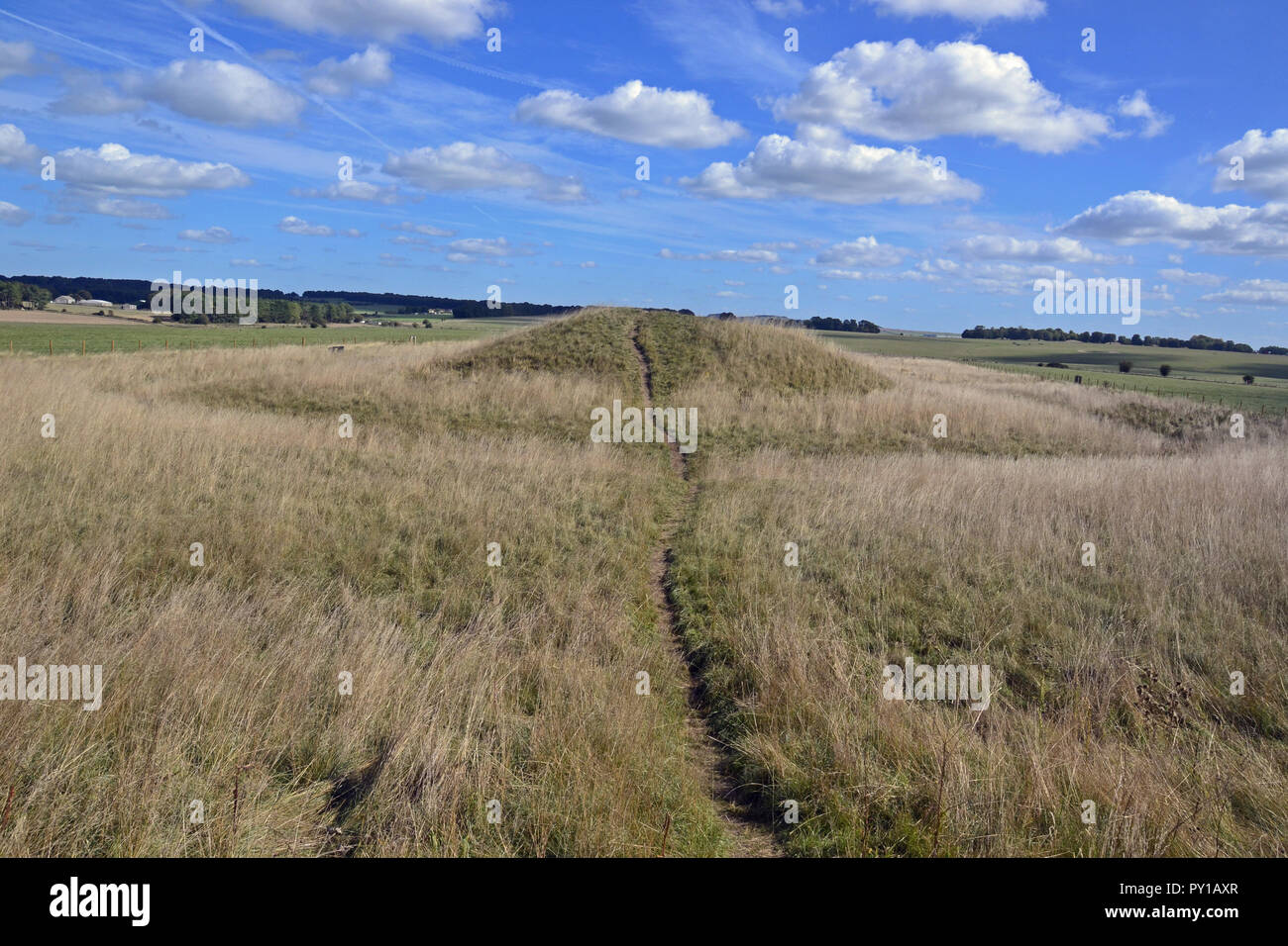 Cursus des castrats. Anciens tumulus funéraires ou à Stonehenge barrows cursus sur le paysage de Stonehenge, Wiltshire, England, UK Banque D'Images